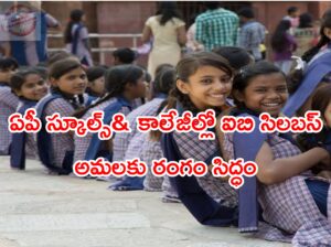 IB SYLLABUS IN AP SCHOOLS AND COLLEGE S